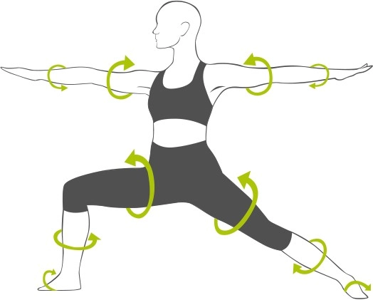 Spiraldynamik ilustrace